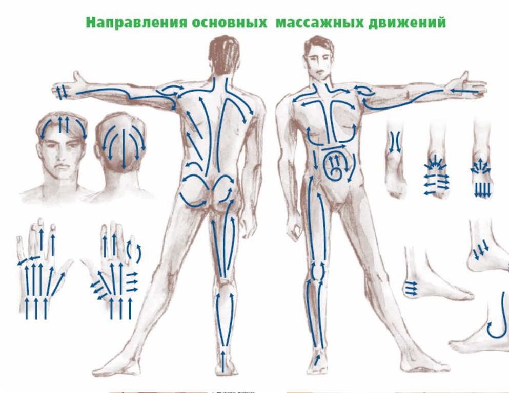 Направление массажных движений при массаже. Массаж лимфы тела схема. Направление движений при массаже лимфы. Массажные линии тела схема лимфа. Схема движения лимфы в организме для массажа.